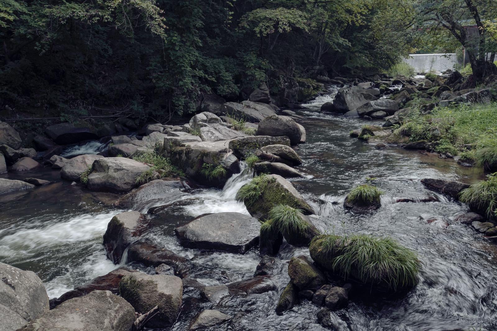 「山鶏滝の渓流と岩場での静寂」の写真