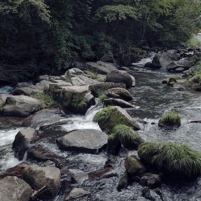 山鶏滝の渓流と岩場での静寂の写真