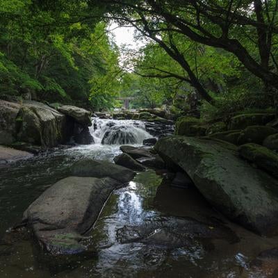 山鶏滝での自然の癒しと岩場の美の写真