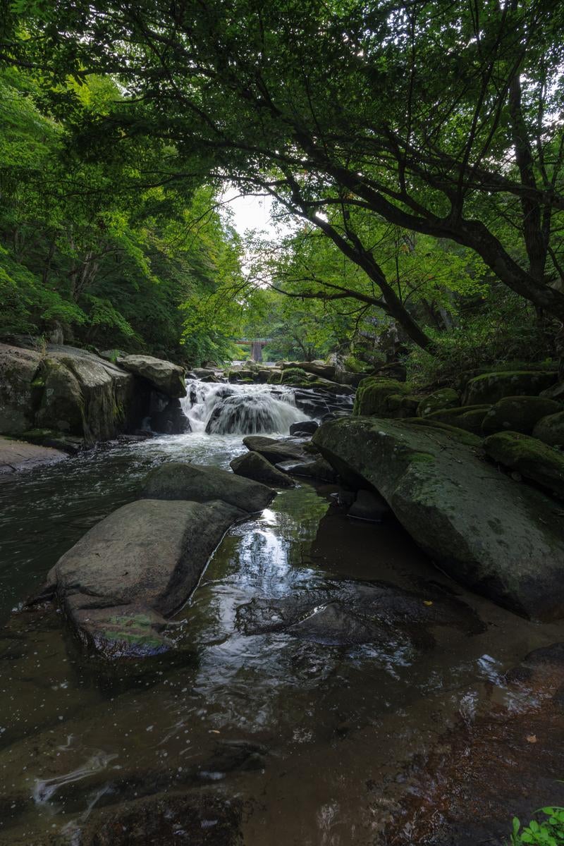 「山鶏滝での自然の癒しと岩場の美」の写真