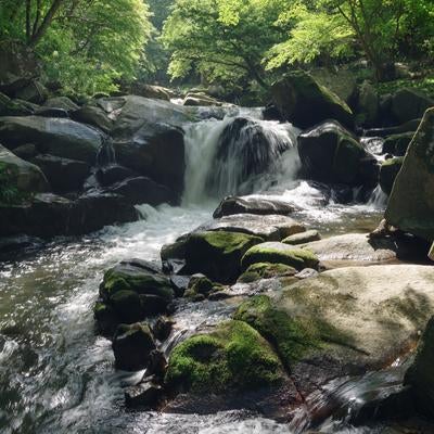 渓流に差す木漏れ日と山鶏滝の穏やかな美しさの写真