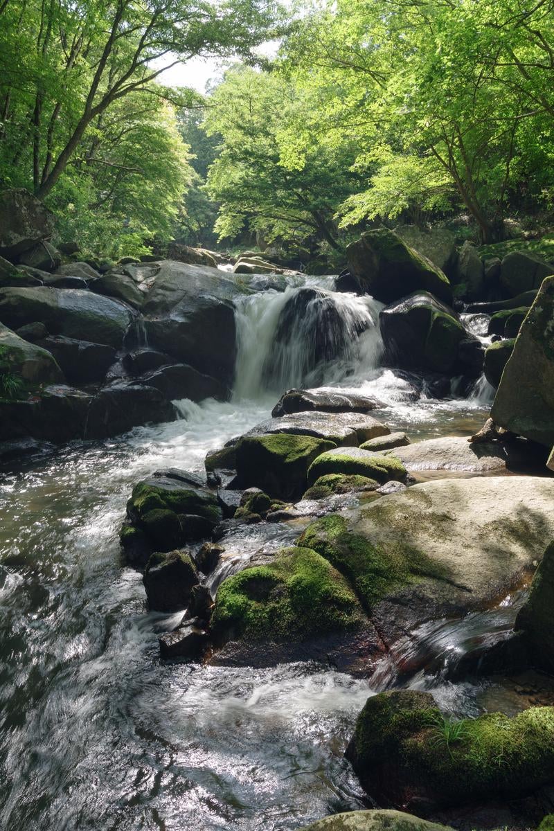 「渓流に差す木漏れ日と山鶏滝の穏やかな美しさ」の写真