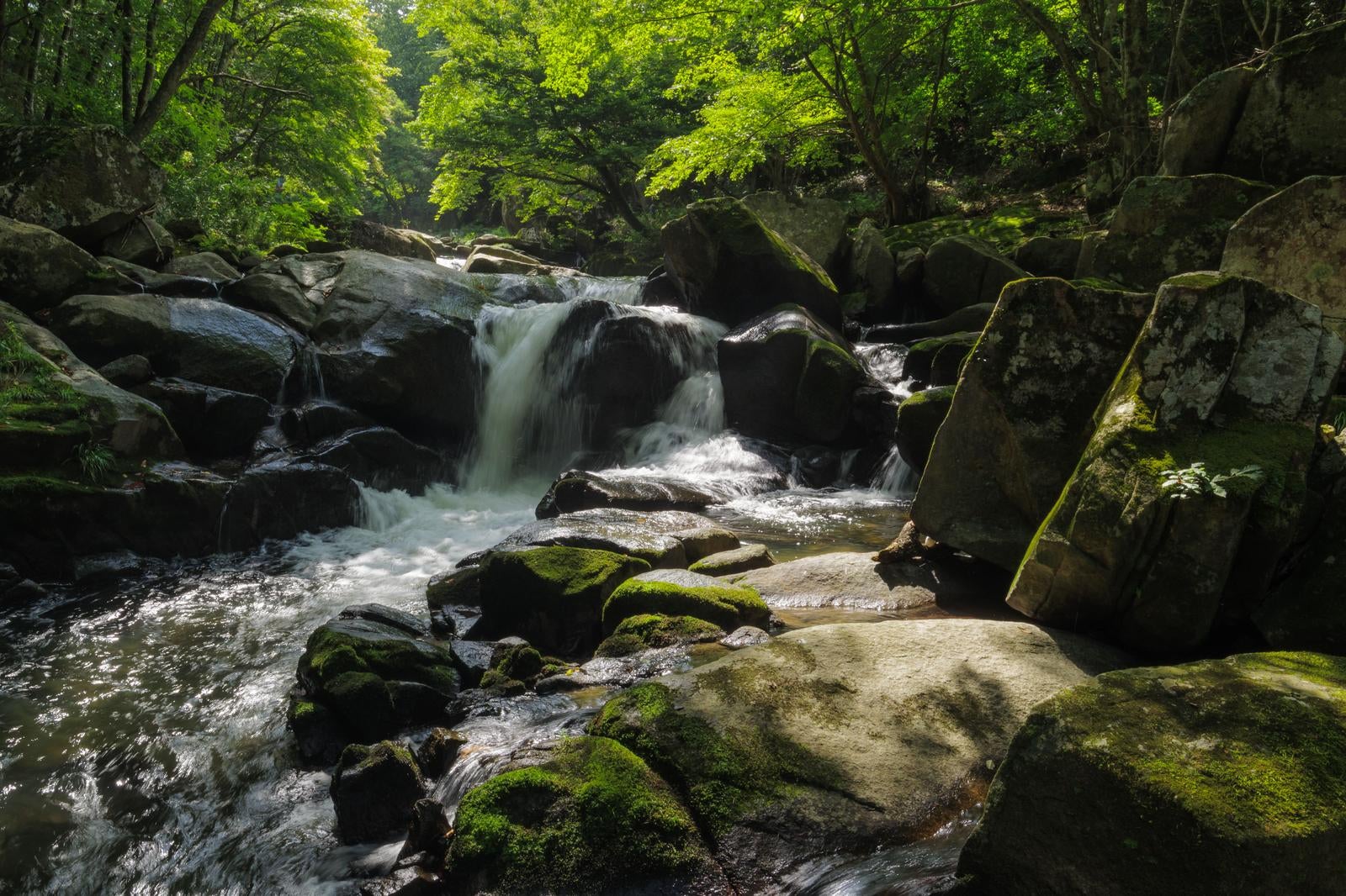 「山鶏滝の岩場と渓流の木漏れ日の調和」の写真