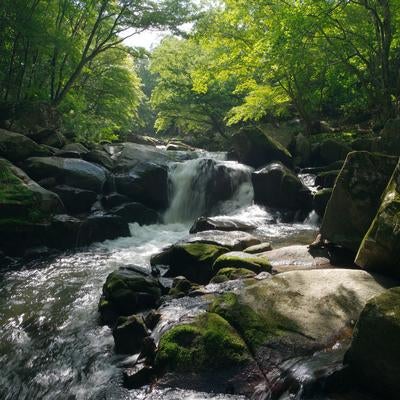 山鶏滝の渓流と木漏れ日と岩場の静けさの写真