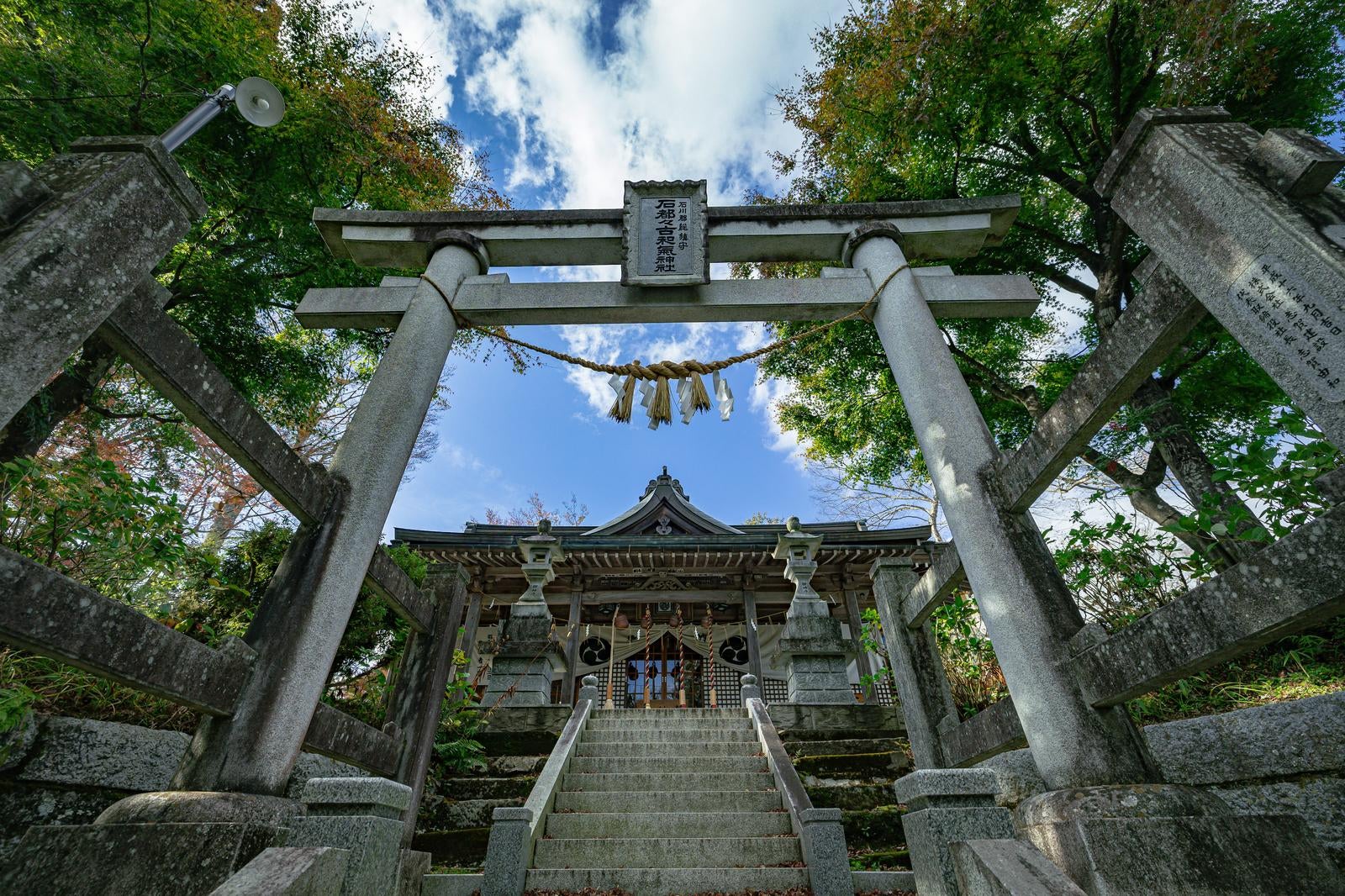 「石都々古和気神社、古社の鳥居をくぐる信仰」の写真