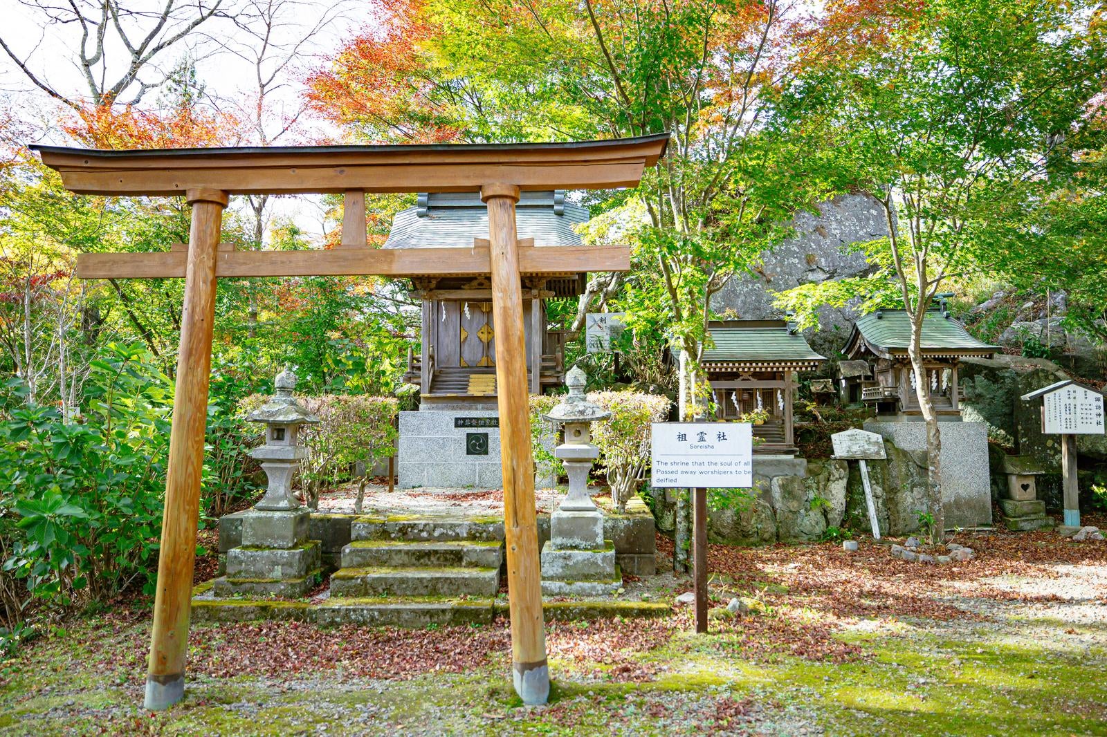 秋の樹木に囲まれた石都々古和気神社の大型木製鳥居と社殿