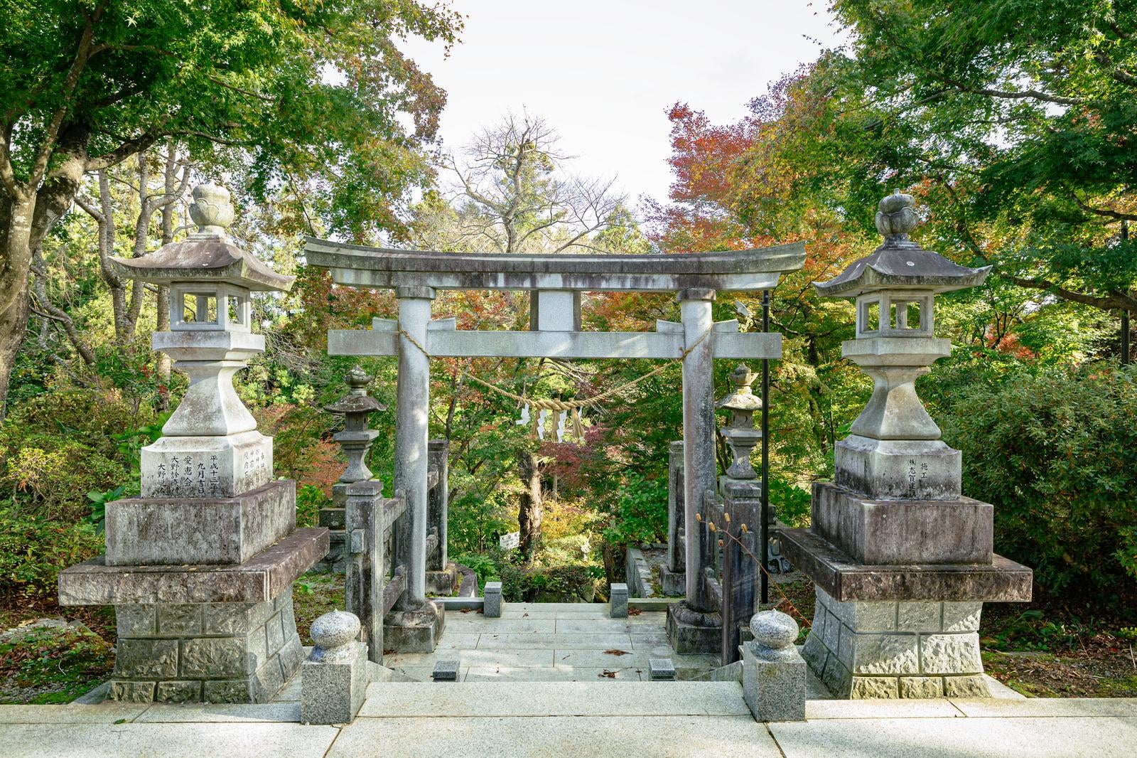 「石都々古和気神社の鳥居と境内」の写真