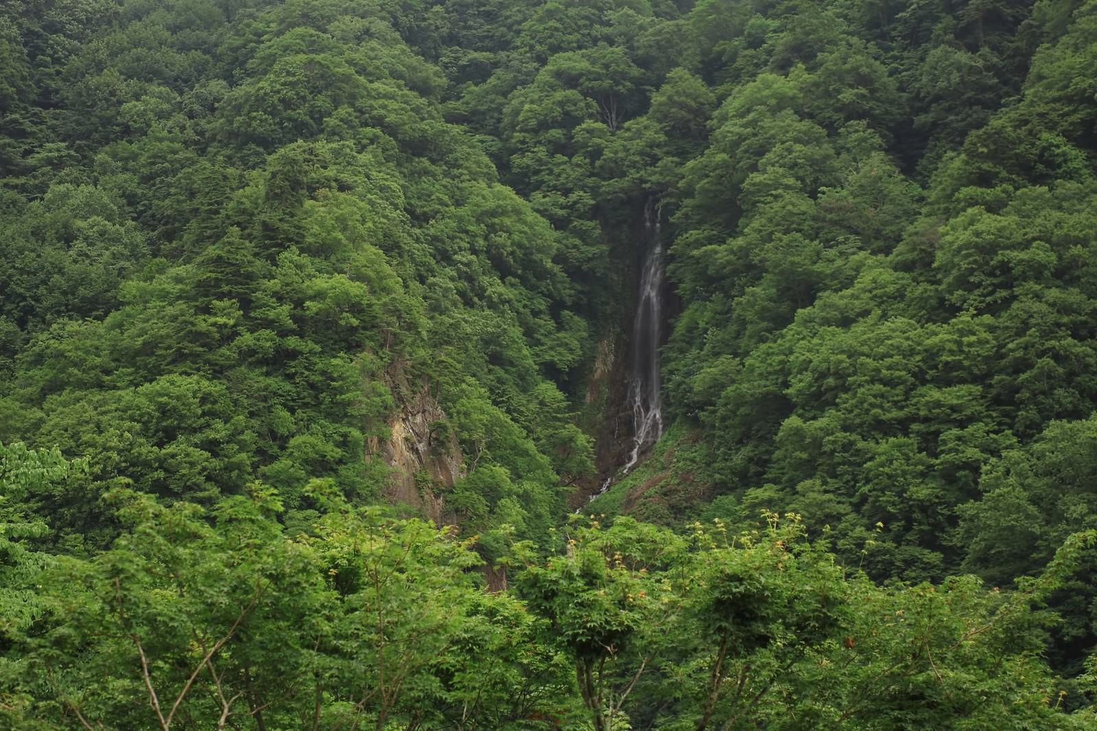 「山林の中で流れる滝」の写真