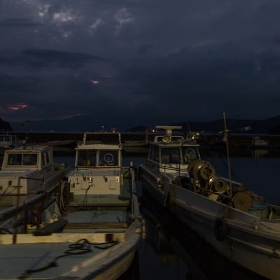 夜の港の写真