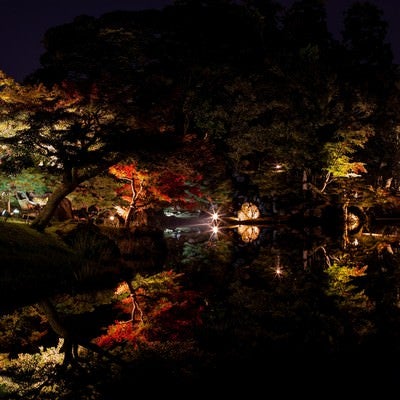 錦秋の玄宮園のライトアップの写真