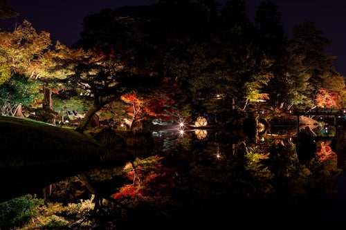 錦秋の玄宮園のライトアップの写真