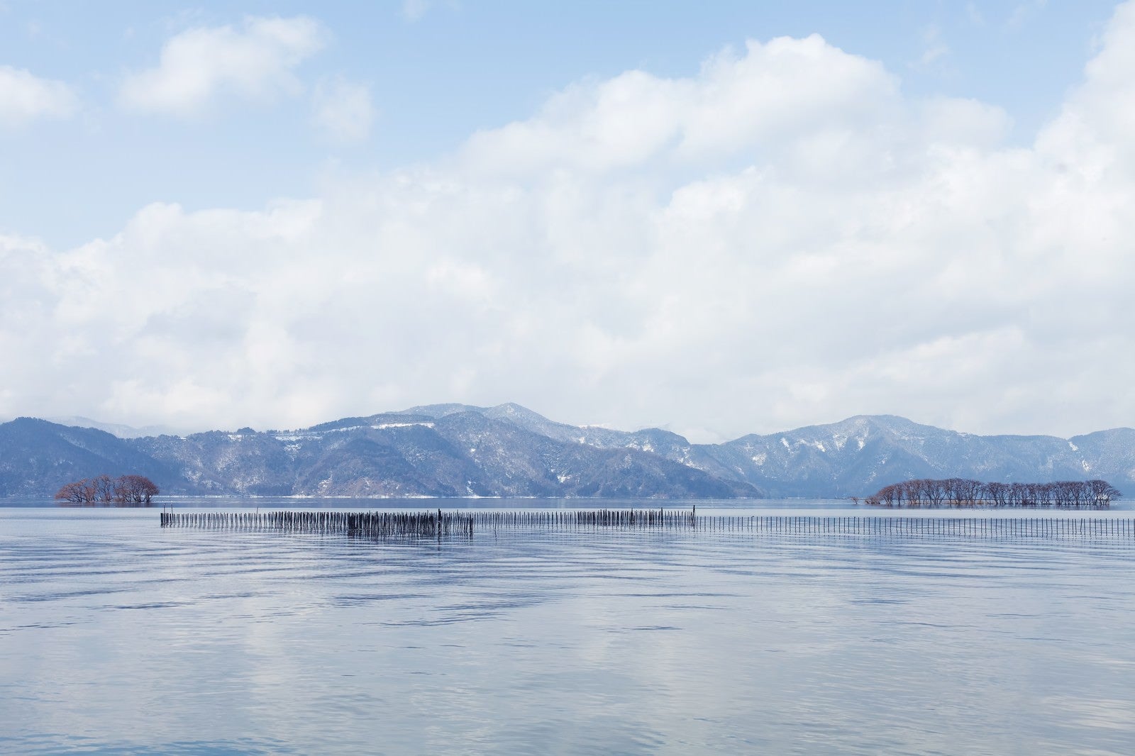 「湖北町から見た琵琶湖の景色」の写真