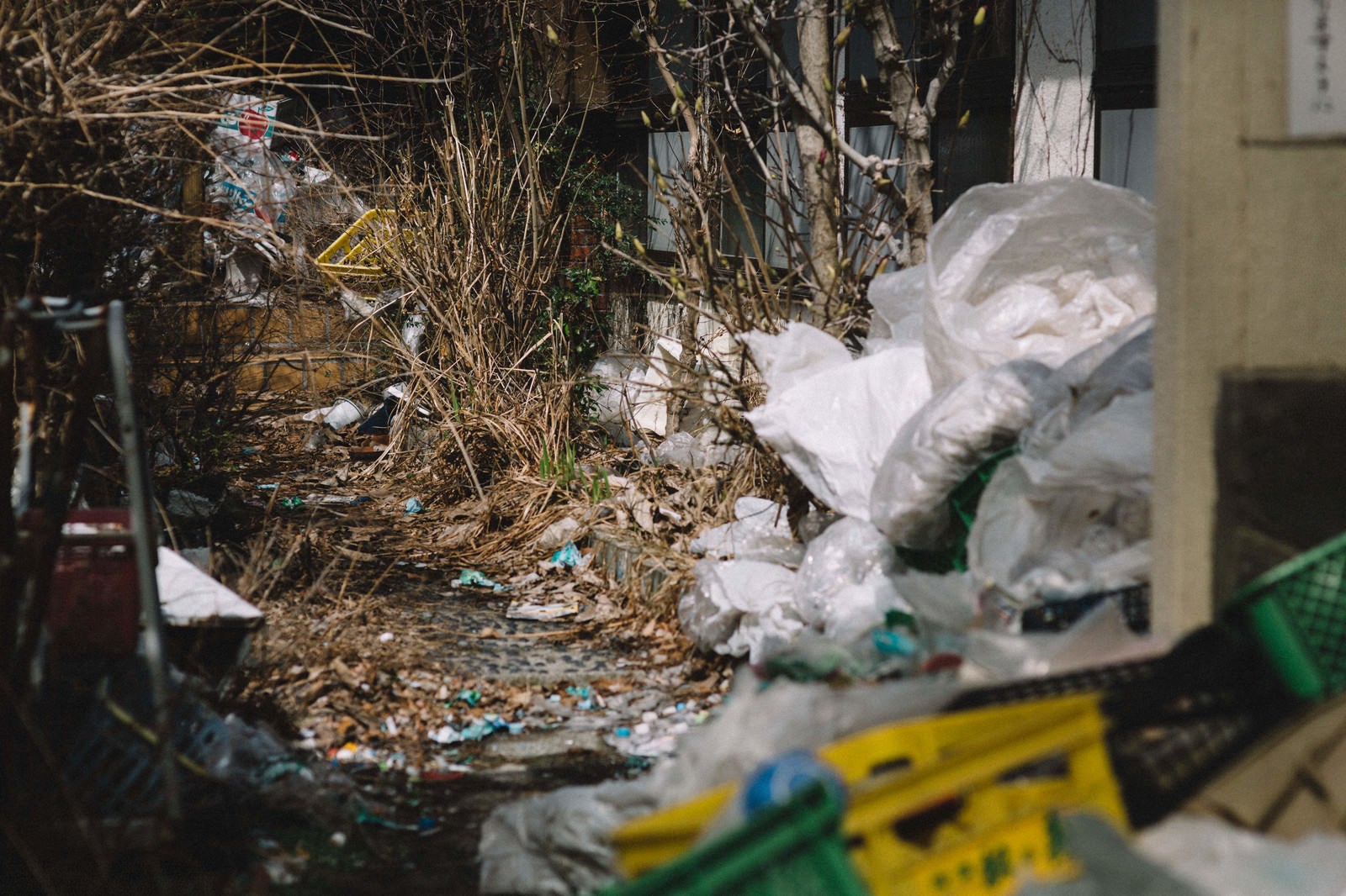 「ゴミで埋め尽くされた道」の写真