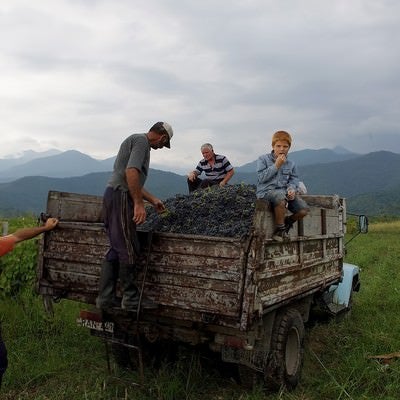 葡萄が積載されたトラックに乗る少年の写真