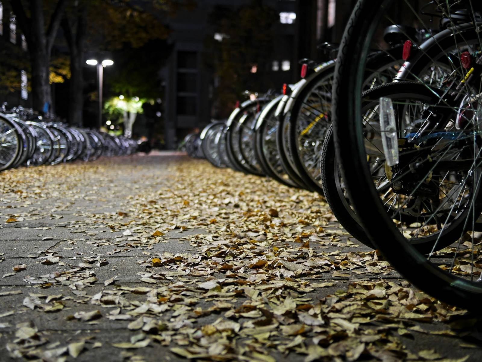 「落ち葉と自転車」の写真
