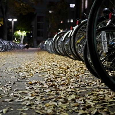落ち葉と自転車の写真