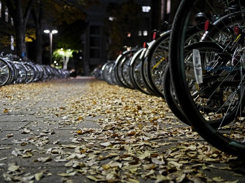 落ち葉と自転車の写真