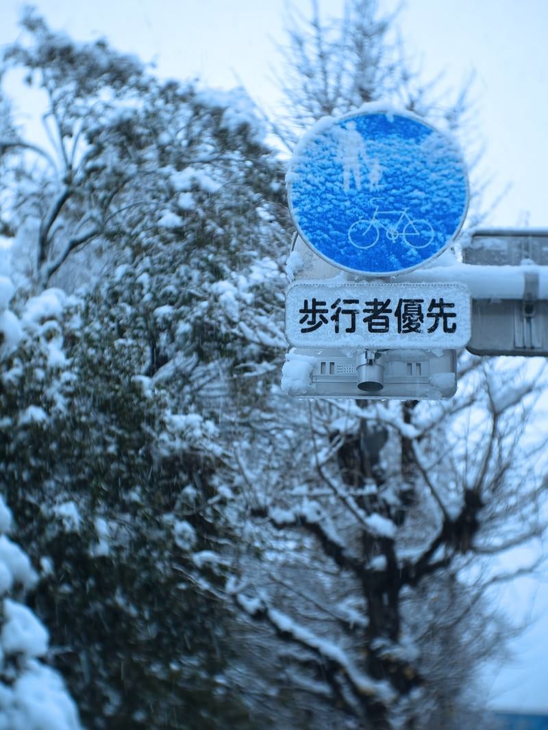 「歩行者優先表示に着雪する様子」の写真