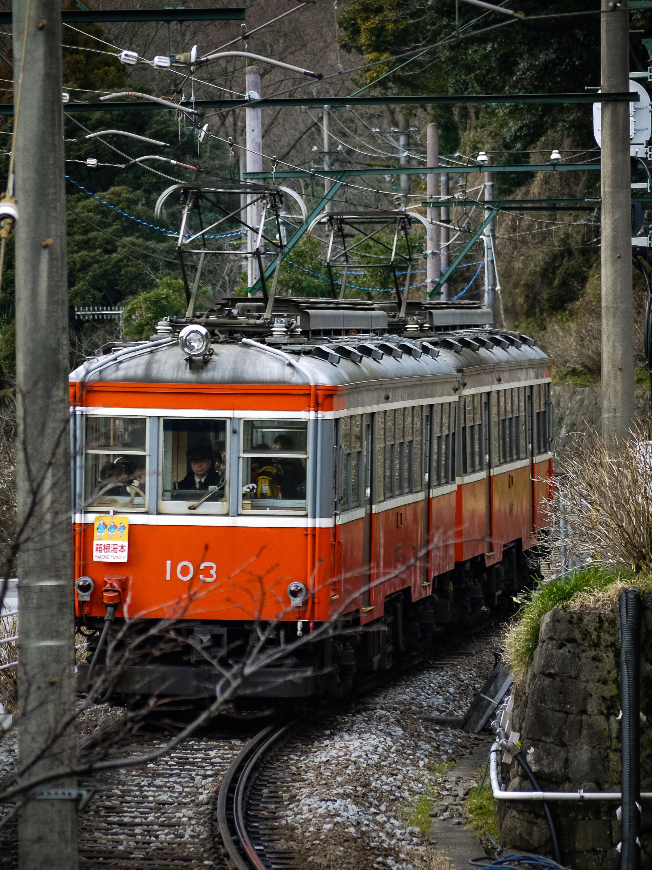 箱根登山鉄道 ストア キャリーバッグ