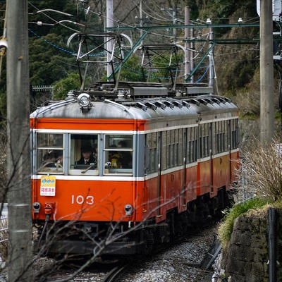 箱根登山鉄道の写真