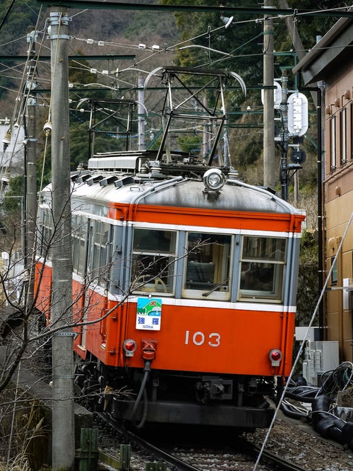 坂を上る箱根登山鉄道の写真