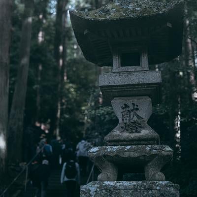 古殿八幡神社の境内に佇む石灯篭の写真