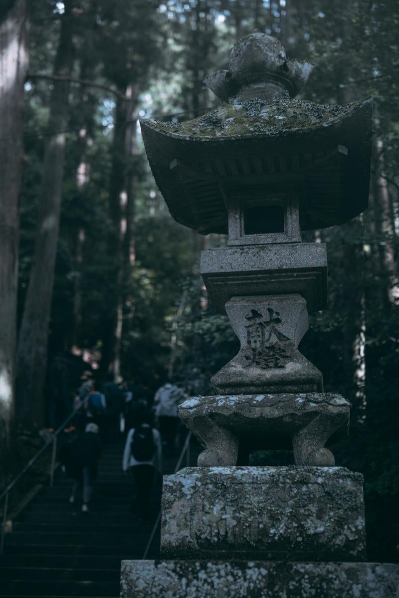 「古殿八幡神社の境内に佇む石灯篭」の写真