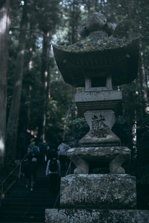 古殿八幡神社の境内に佇む石灯篭の写真