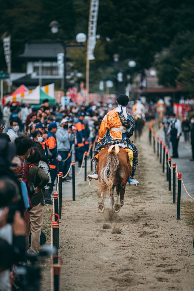 「颯爽とした姿で馬を駆け抜ける後ろ姿」の写真