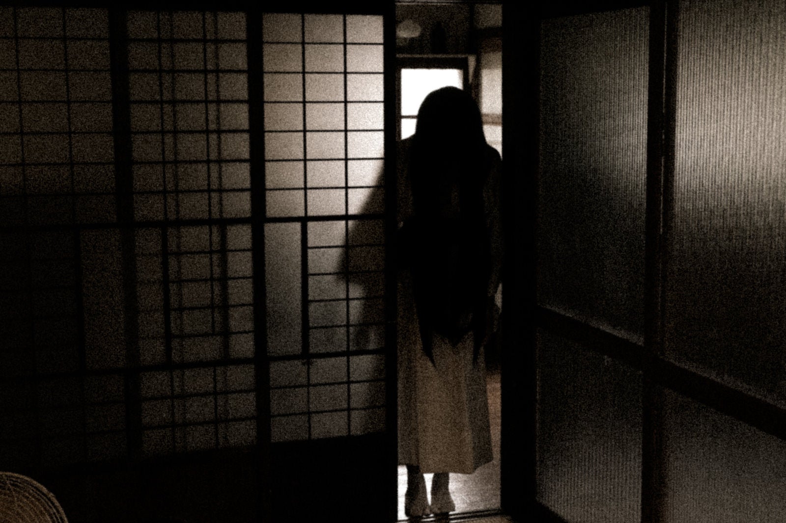 「障子の彷徨う幽霊」の写真［モデル：緋真煉］