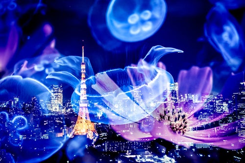 浮かぶくらげと東京タワーの写真