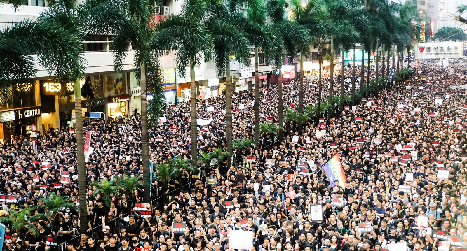 「数キロにも及ぶデモ隊（香港デモ）」の写真