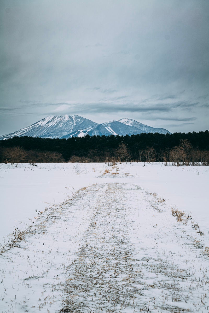 「雪が積もった農道」の写真