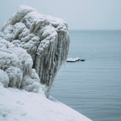 猪苗代湖にできた飛沫氷（しぶきごおり）の写真