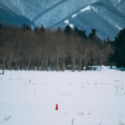 雪に埋もれたカラーコーンの写真