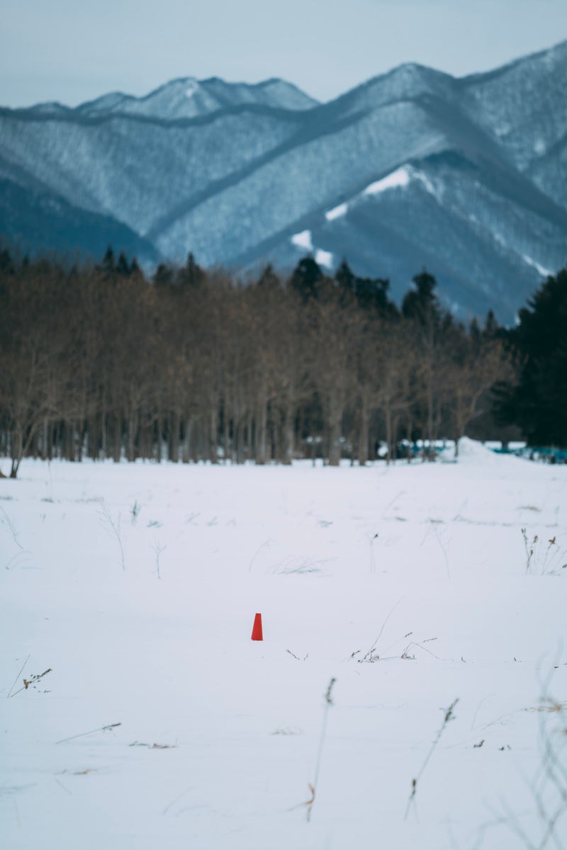 「雪に埋もれたカラーコーン」の写真