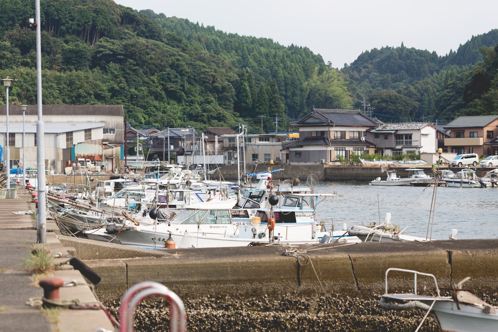 「佐賀県伊万里市の波多津港と漁船」の写真