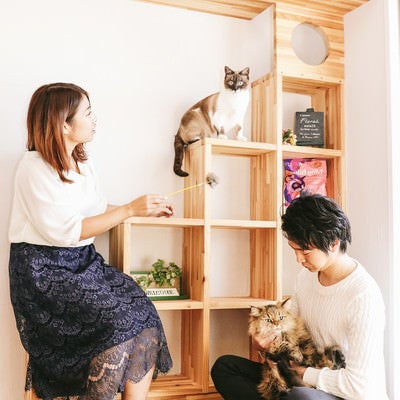 猫と暮らす家（恋人との同棲）の写真