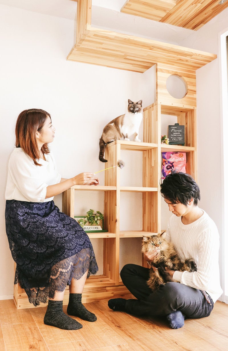 「猫と暮らす家（恋人との同棲）」の写真［モデル：モデルリリース］