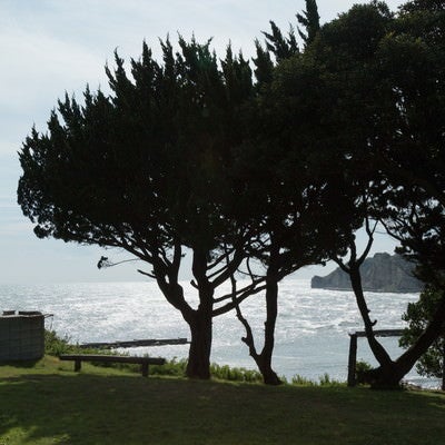 いすみ市小浜城跡からの景観の写真