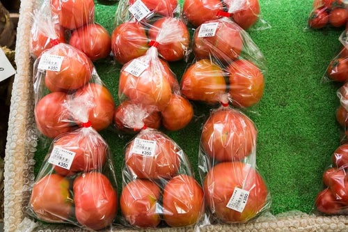 真っ赤に熟したいすみ市大原産のトマトの写真
