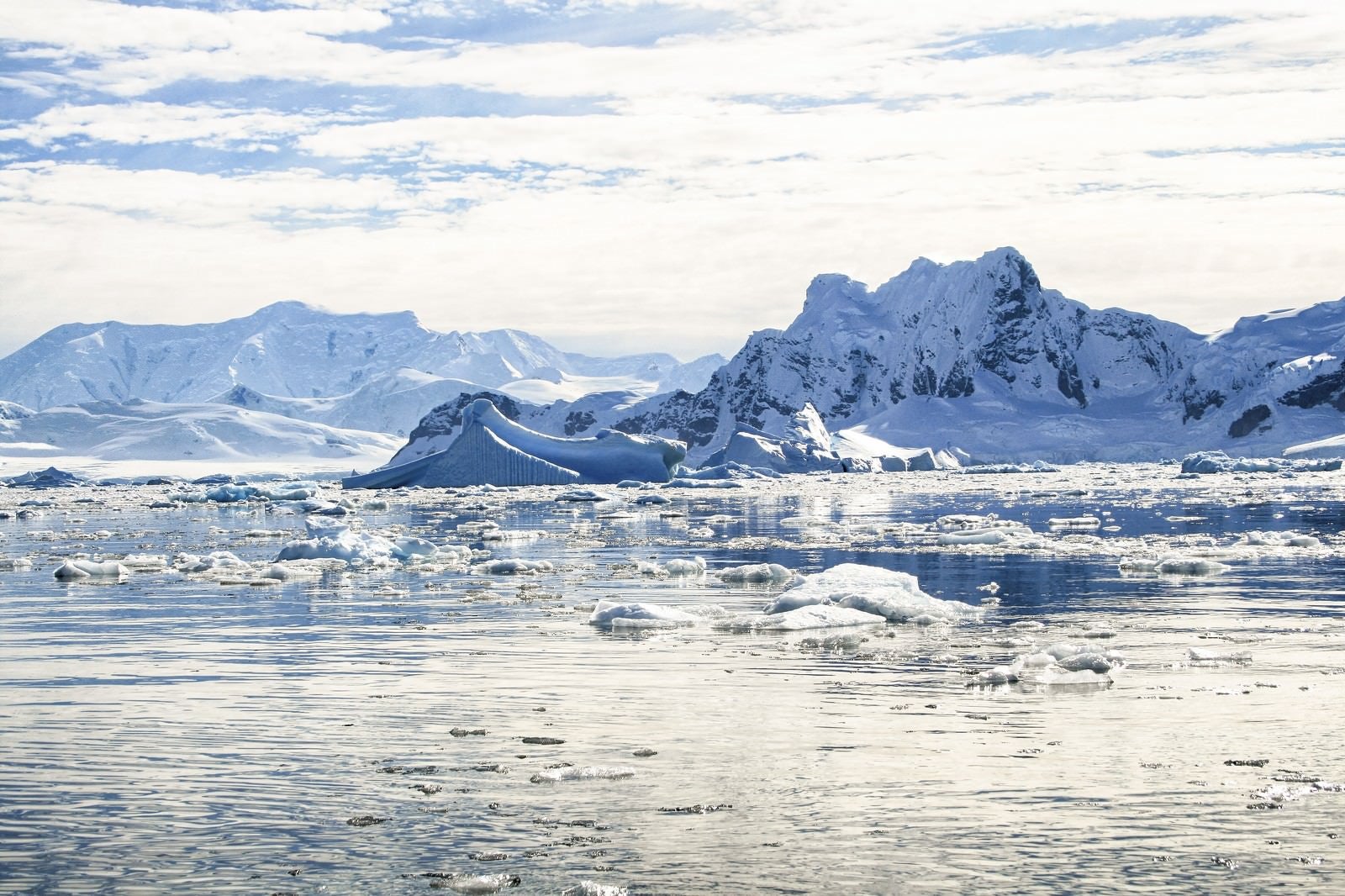 「南極の風景」の写真