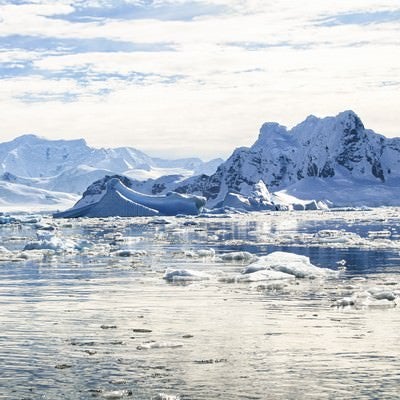 南極の風景の写真