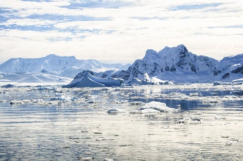 南極の風景の写真