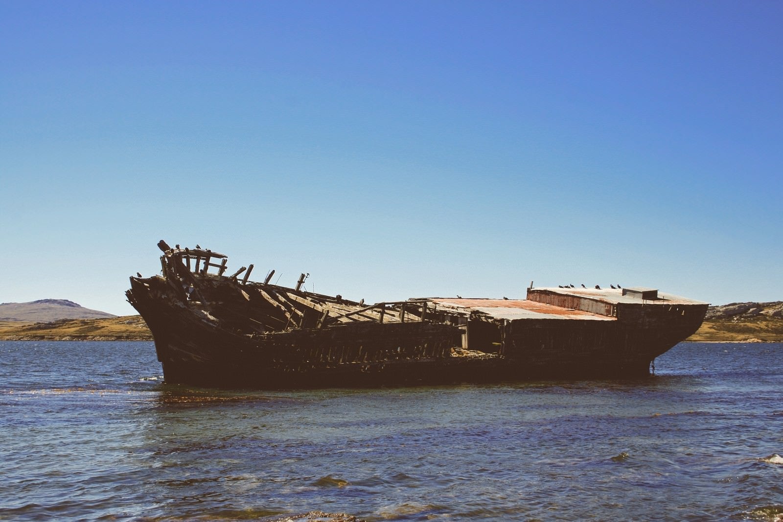「フォークランド諸島に浮かぶ座礁した廃船」の写真