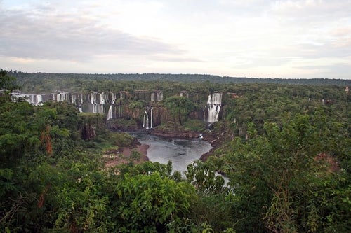 ジャングルに流れるイグアスの滝の写真