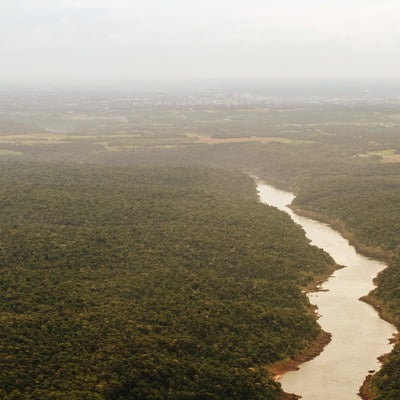 イグアスの滝と樹海の写真