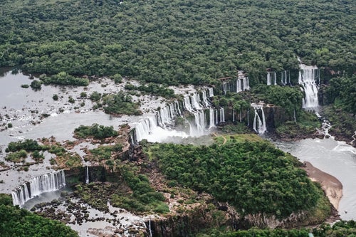 森に囲まれたイグアスの滝の写真
