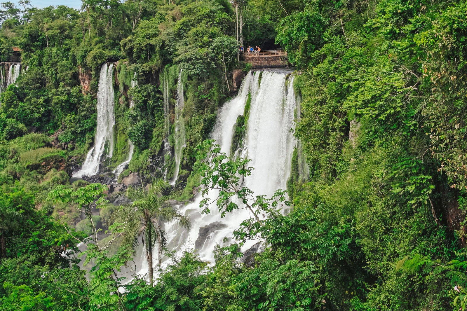 「自然に囲まれたイグアスの滝と観光客」の写真