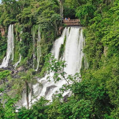 自然に囲まれたイグアスの滝と観光客の写真